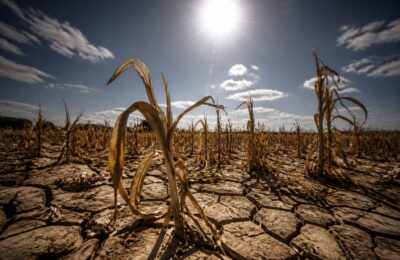 Prețurile agricole au urcat cu 7% într-o lună pe fondul riscului unui episod puternic El Niño