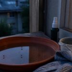 West Nile a ajuns la 58 de cazuri și 3 decese în România
