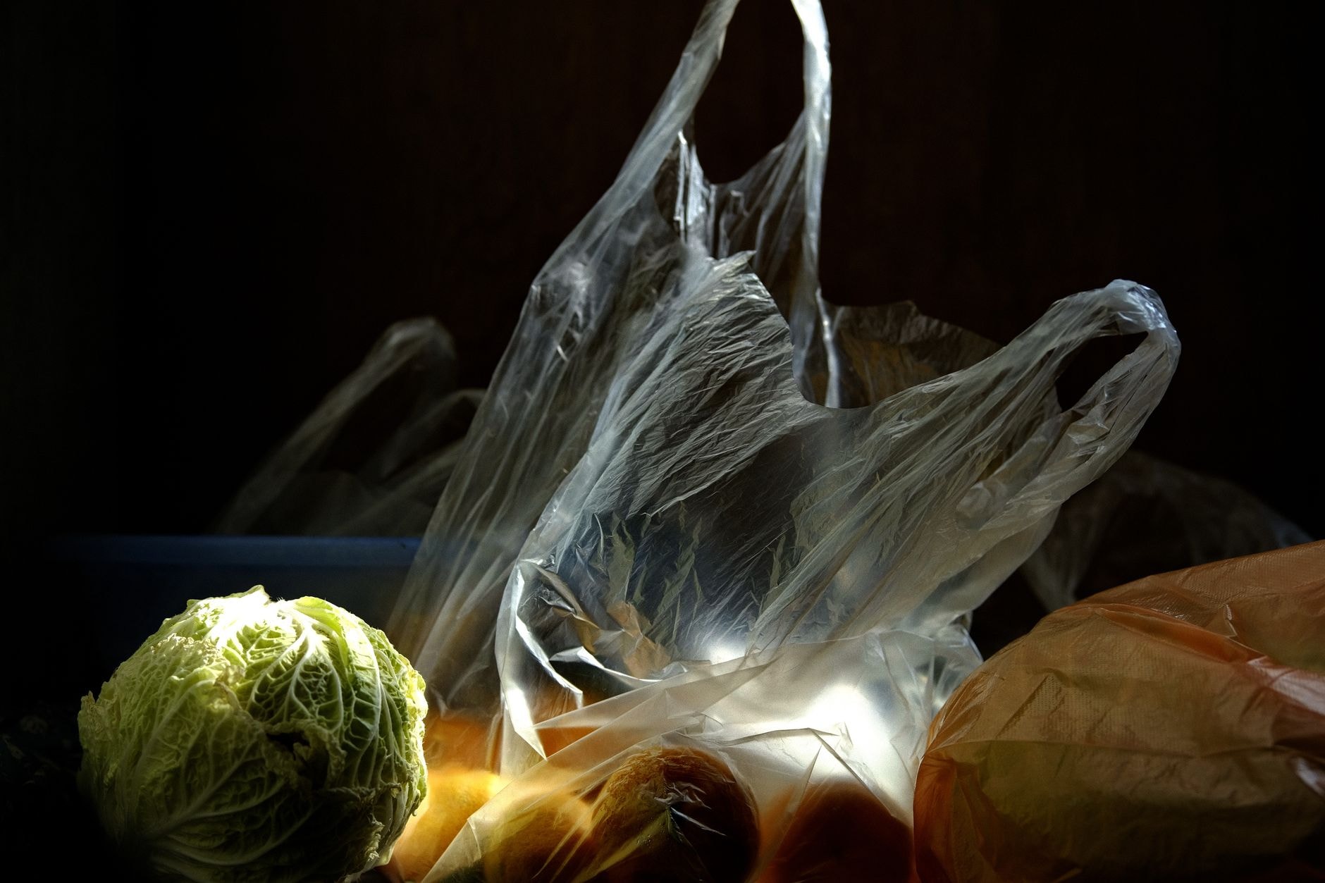 Cumpărături și cheltuieli alimentare