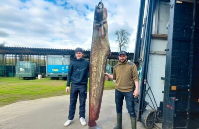 Monstru în Lacul Constanța – Somn de 109 Kg, Capturat de un Austriac