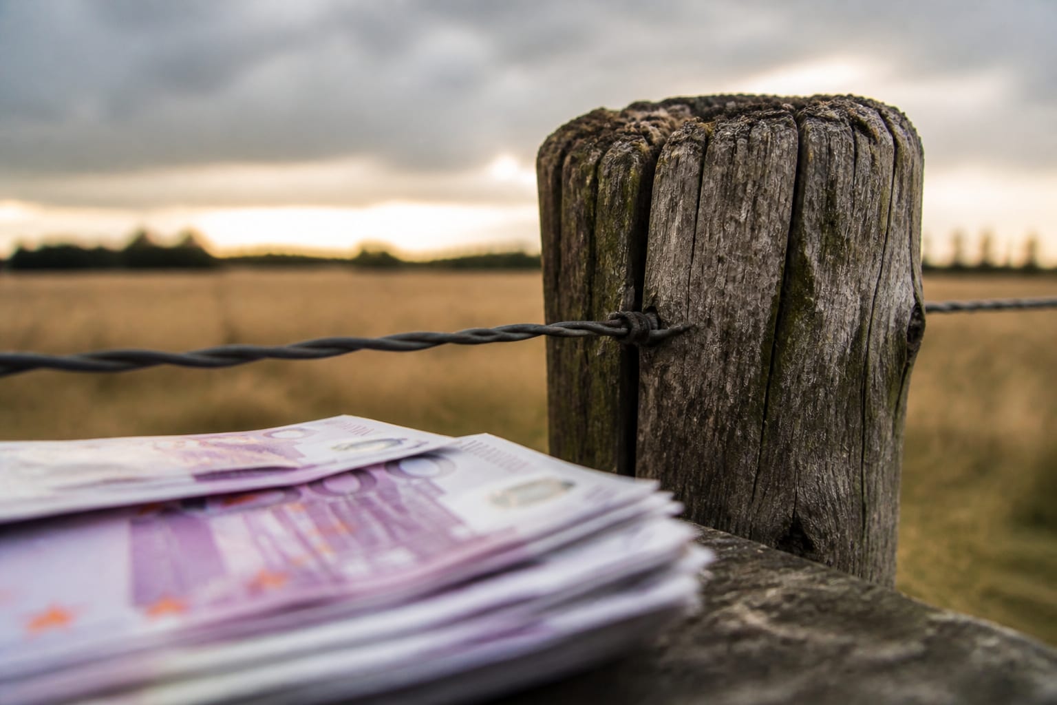 Program pentru fermele mici cu buget de câteva sute de milioane de euro de la Banca Mondială