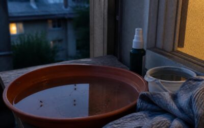West Nile a ajuns la 58 de cazuri și 3 decese în România